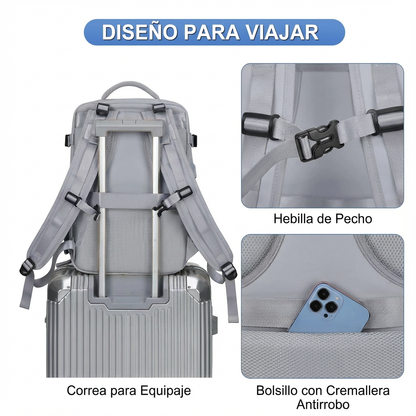 Moley Explorer Pro™